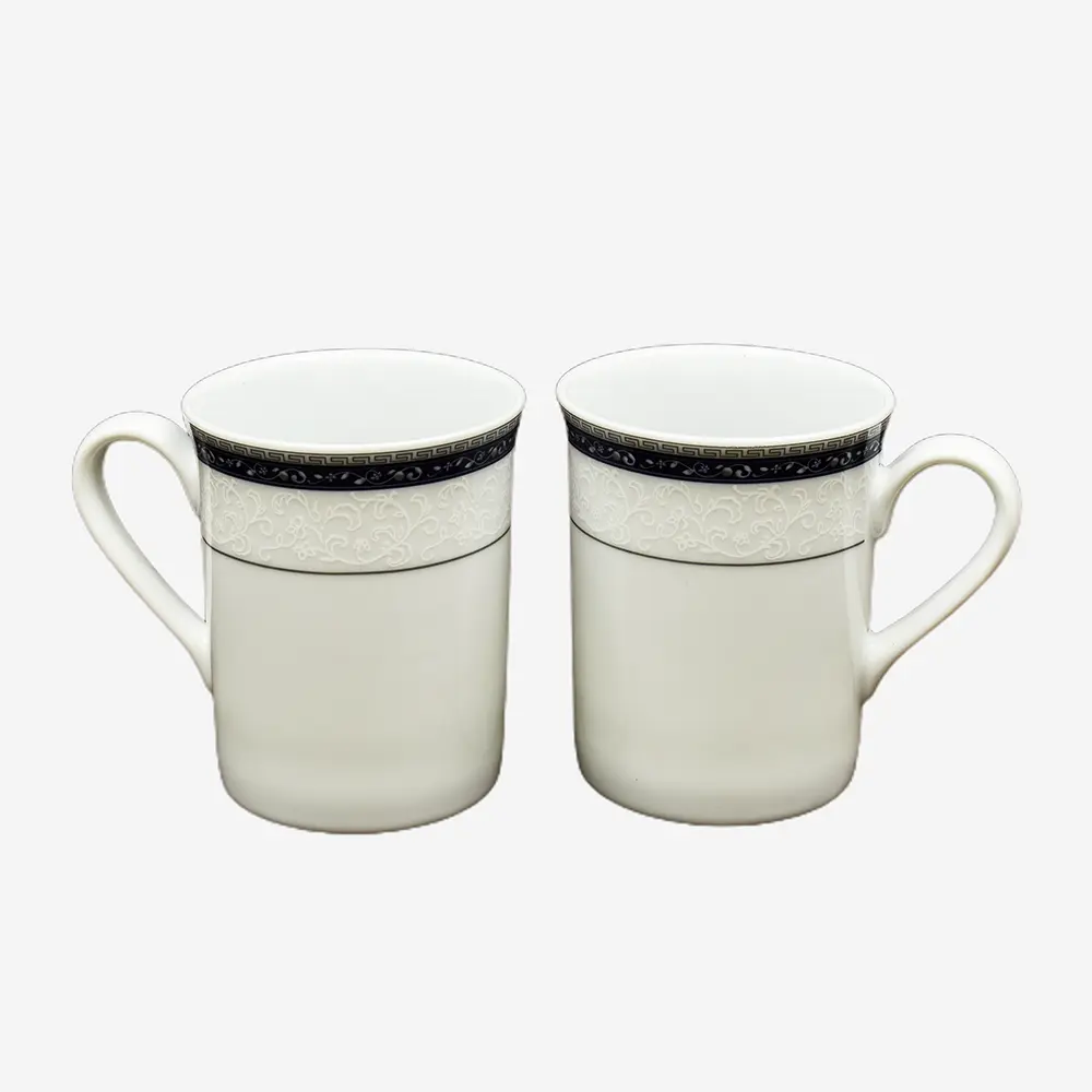 Mug Set 2pc with Gift Box | Blue | Dinole ICHKAN
