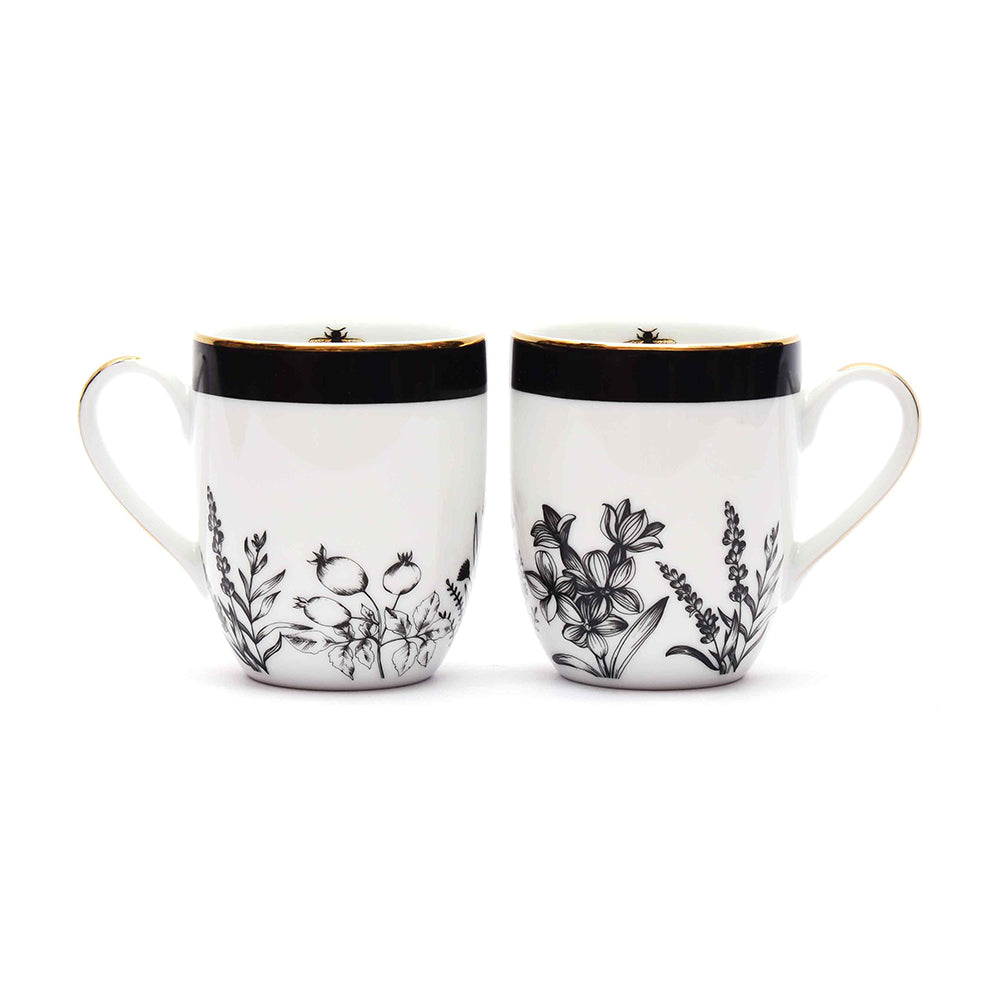 Coupe Coffee Mug Set of 4 - Gift Box | Black | Bee ICHKAN